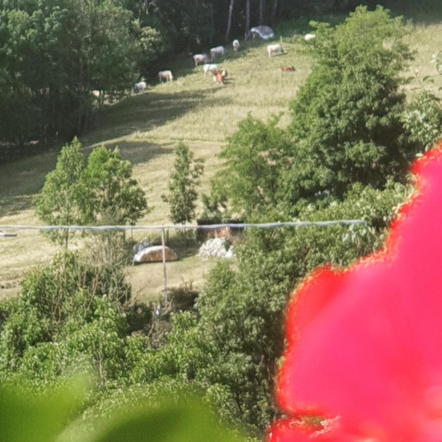 サンペイレ Antica Casa Occitana Bed & Breakfast エクステリア 写真